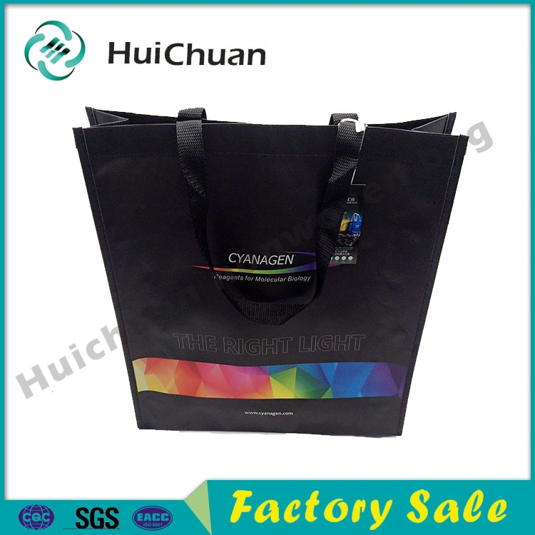 Promotional Custom PP Woven Non Woven RPET Laminated Reusable Shopping Bags