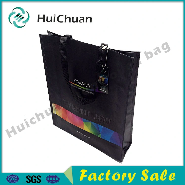 Promotional Custom PP Woven Non Woven RPET Laminated Reusable Shopping Bags