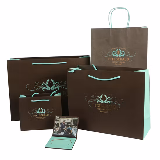 Moda personalizada seu próprio logotipo imprimir cosméticos sacos de papel de compras de presente de luxo com alça