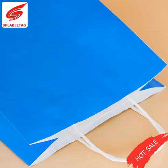 Preço baixo Sacos de papel de compras de presente cosmético da jóia do vestuário com alças